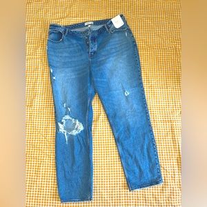 Abercrombie & Fitch Curve Love High Rise Dad Jean, Brand New W/ Tags, Size 35 L